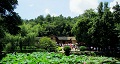 長沙出發(fā)到花明樓、韶山、張家界國家森林公園、天門仙山國家森林公園四日游